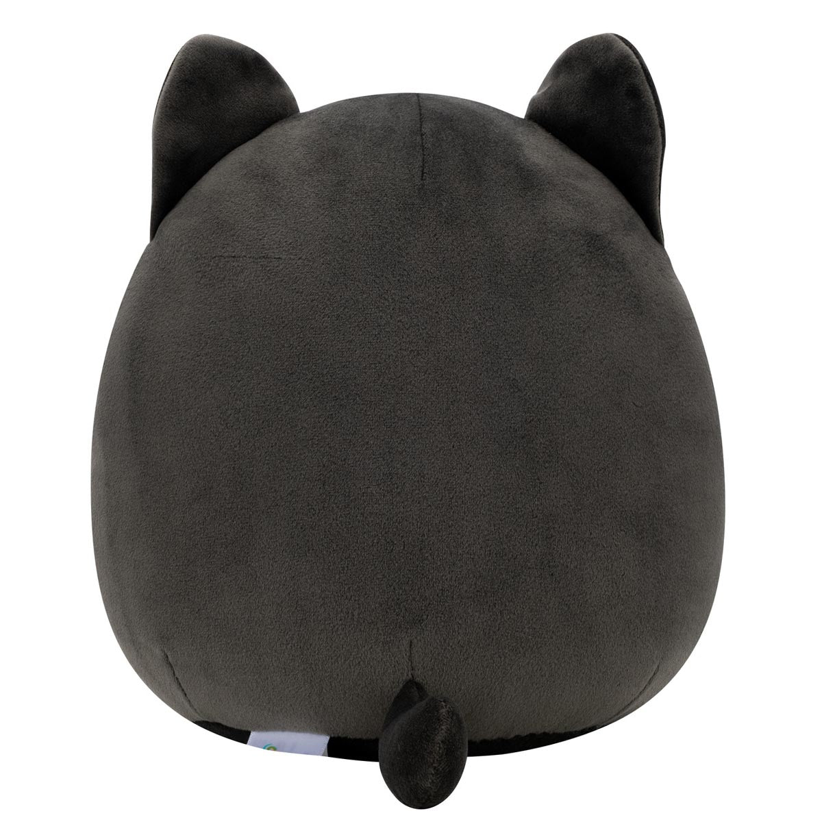 Squishmallows 8" Autumn the Black Cat with Purple Belly | Jazwares