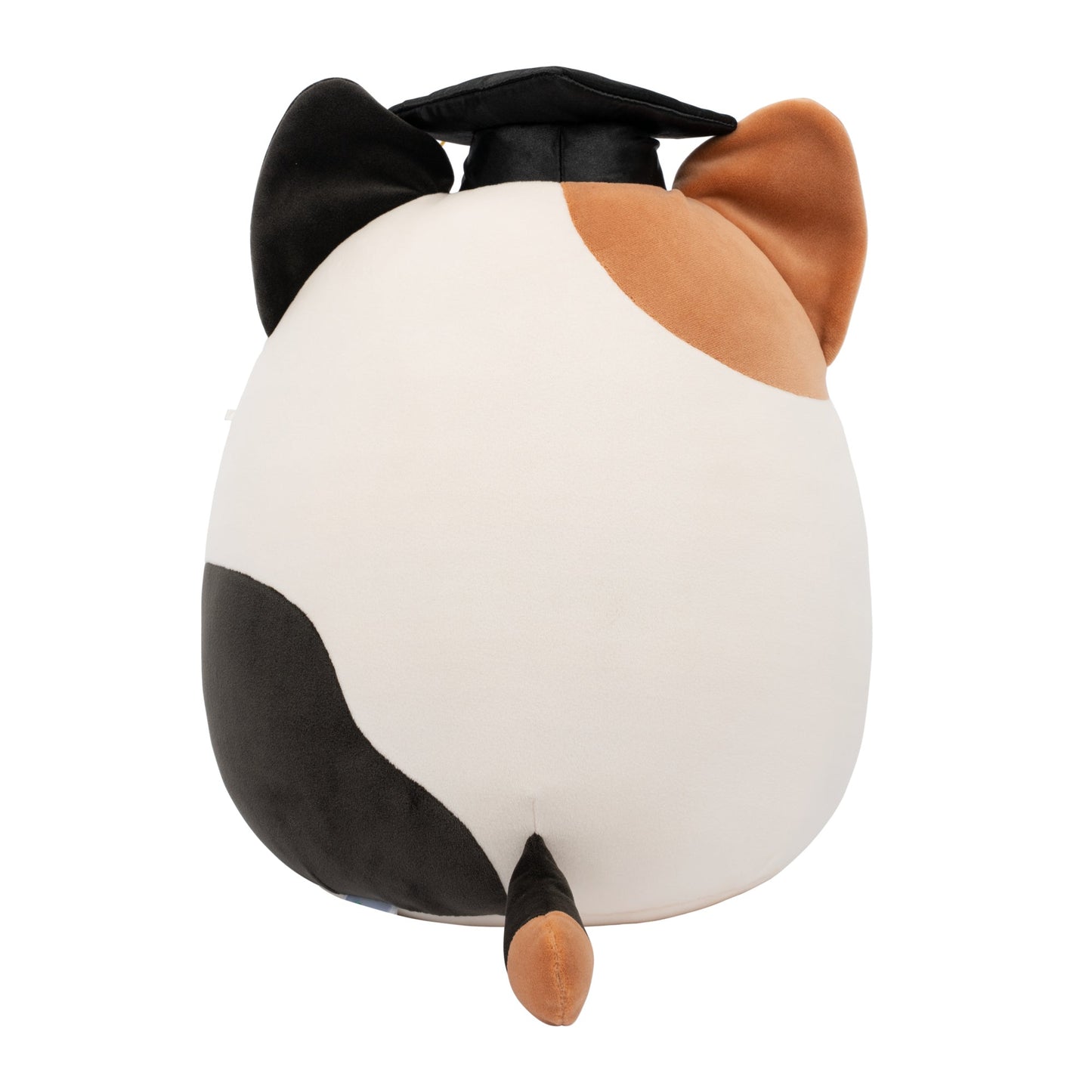 Squishmallows 12" Cam the Calico Cat in Graduation Cap | Jazwares